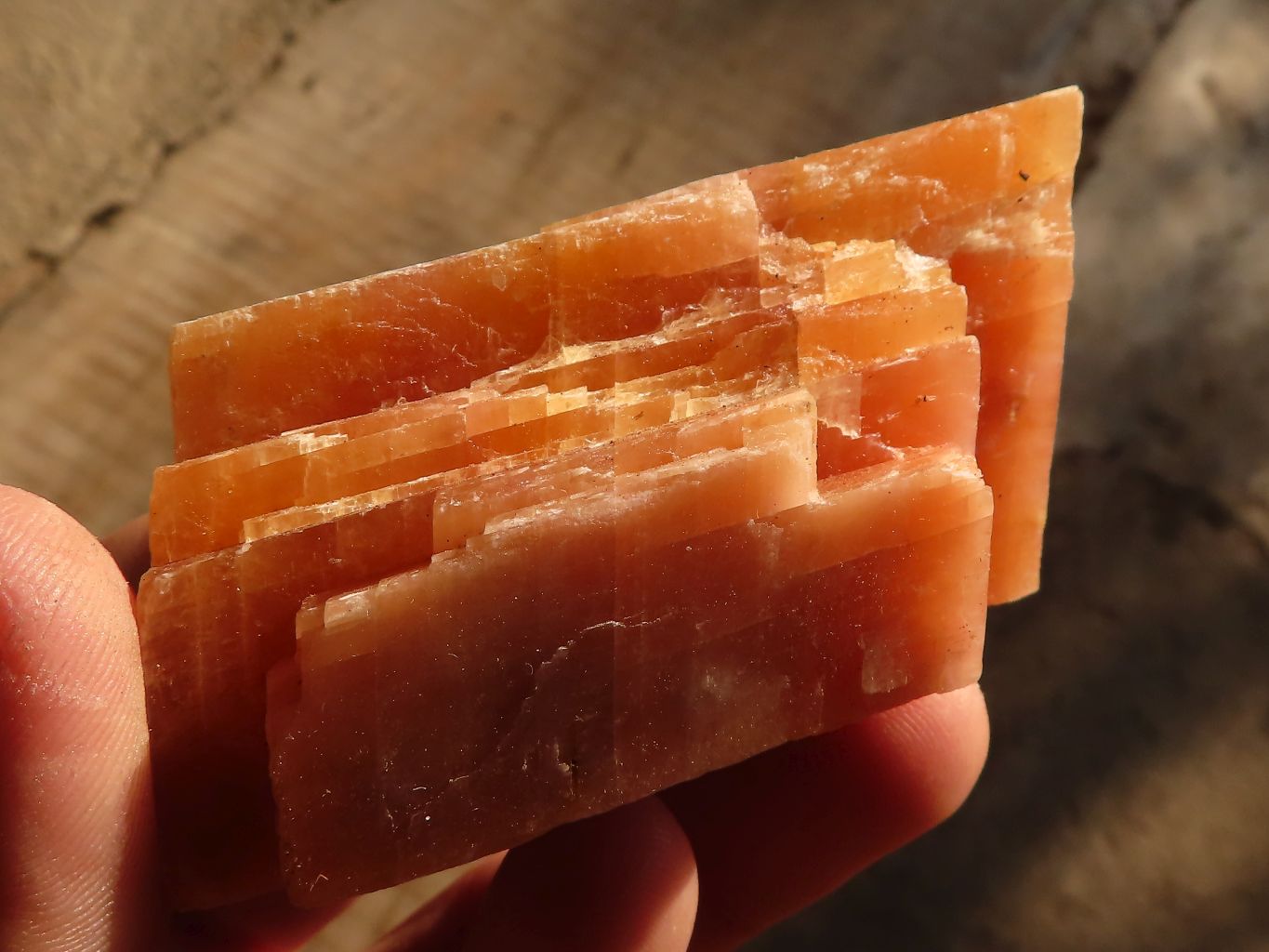 Natural New Sunset Orange Calcite Specimens x 12 From Spitzkop, Namibia - Toprock Gemstones and Minerals 