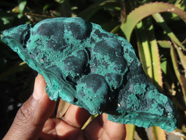 Natural Malachite Specimens x 3 From Congo - TopRock