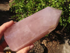 Polished Pink Rose Quartz Points x 2 From Antsirabe, Madagascar - Toprock Gemstones and Minerals 