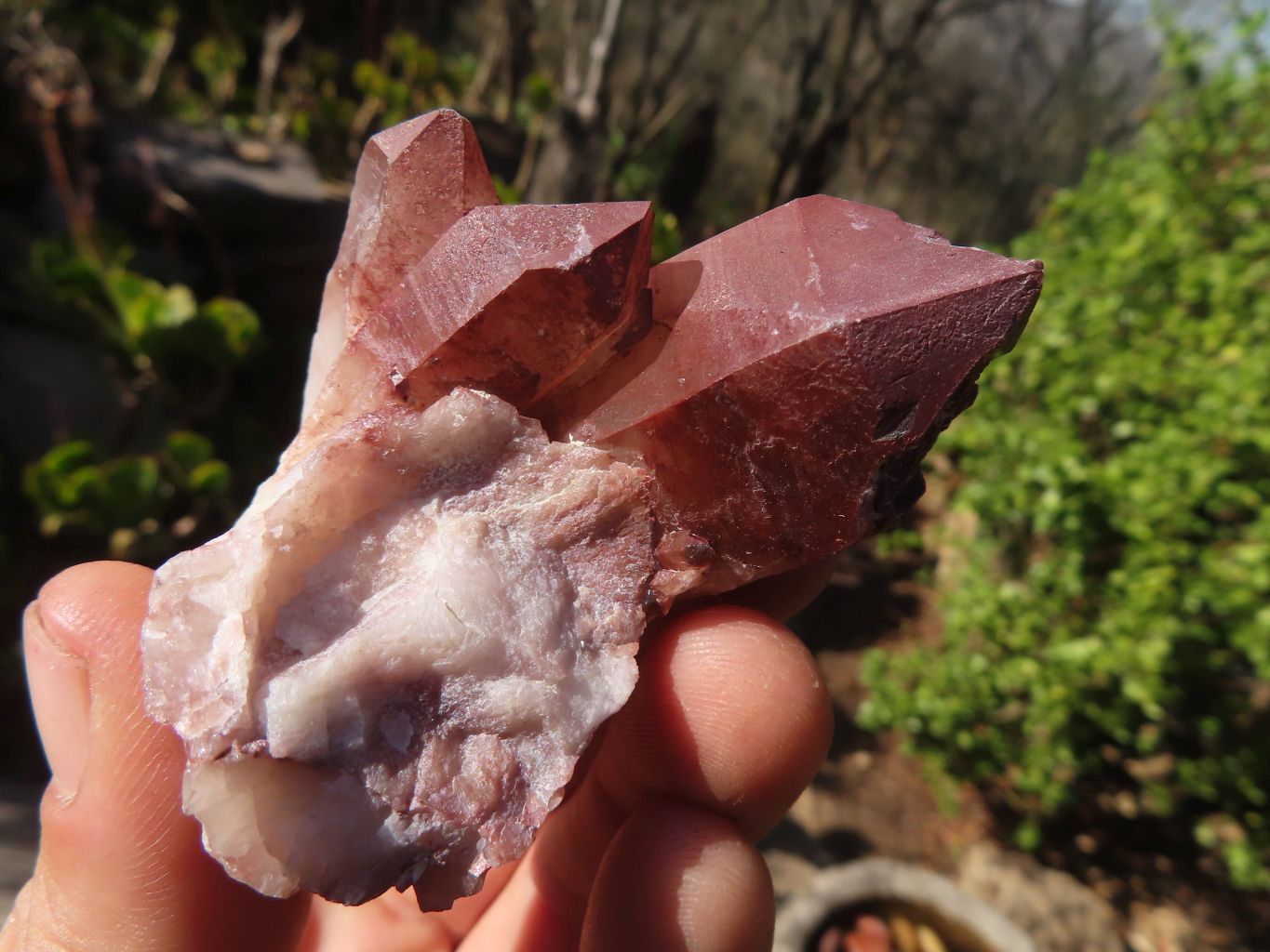 Natural Red Hematoid Quartz Specimens x 24 From Karoi, Zimbabwe - Toprock Gemstones and Minerals 
