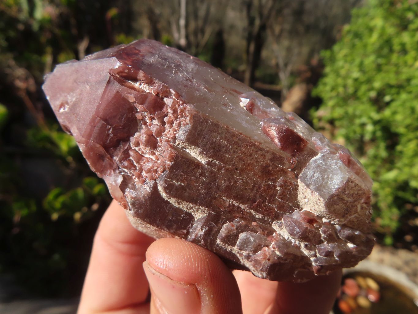Natural Red Hematoid Quartz Specimens x 24 From Karoi, Zimbabwe - Toprock Gemstones and Minerals 