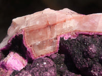 Natural Pink Salrose Cobaltion Dolomite Specimens  x 4 From Kakanda, Congo - Toprock Gemstones and Minerals 