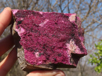 Natural Pink Salrose Cobaltion Dolomite Specimens  x 4 From Kakanda, Congo - Toprock Gemstones and Minerals 