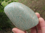 Polished Blue Amazonite Standing Free Forms  x 6 From Zimbabwe - TopRock