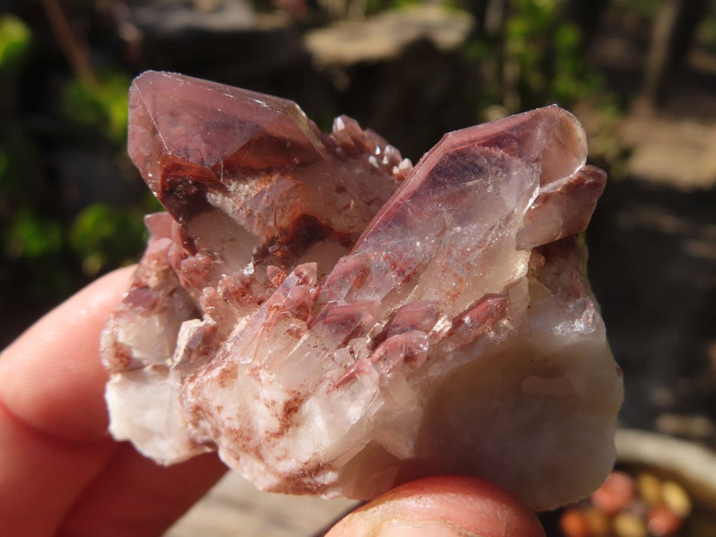 Natural Red Hematoid Quartz Specimens x 24 From Karoi, Zimbabwe - Toprock Gemstones and Minerals 