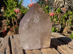 Polished Clear & Smokey Quartz Points  x 2 From Madagascar - Toprock Gemstones and Minerals 
