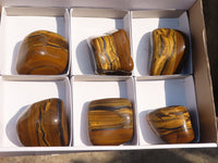 Polished Golden Tigers Eye Free Forms x 6 From Prieska, South Africa