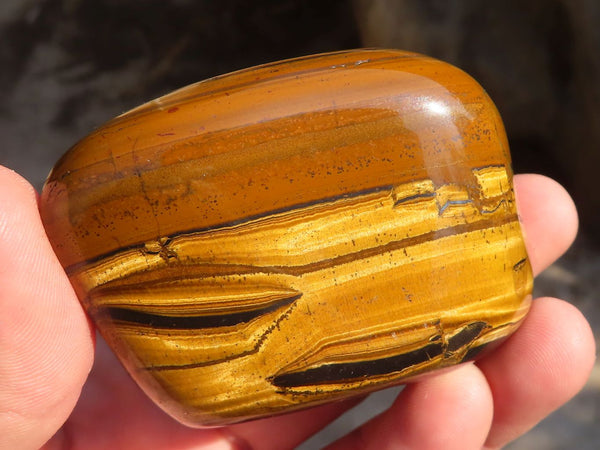Polished Golden Tigers Eye Free Forms x 6 From Prieska, South Africa