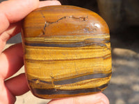 Polished Golden Tigers Eye Free Forms x 6 From Prieska, South Africa
