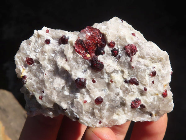 Natural Red Pyrope Garnet Crystals In Matrix Specimens  x 12 From Karibib, Namibia