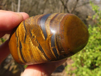 Polished Golden Tigers Eye Free Forms x 6 From Prieska, South Africa