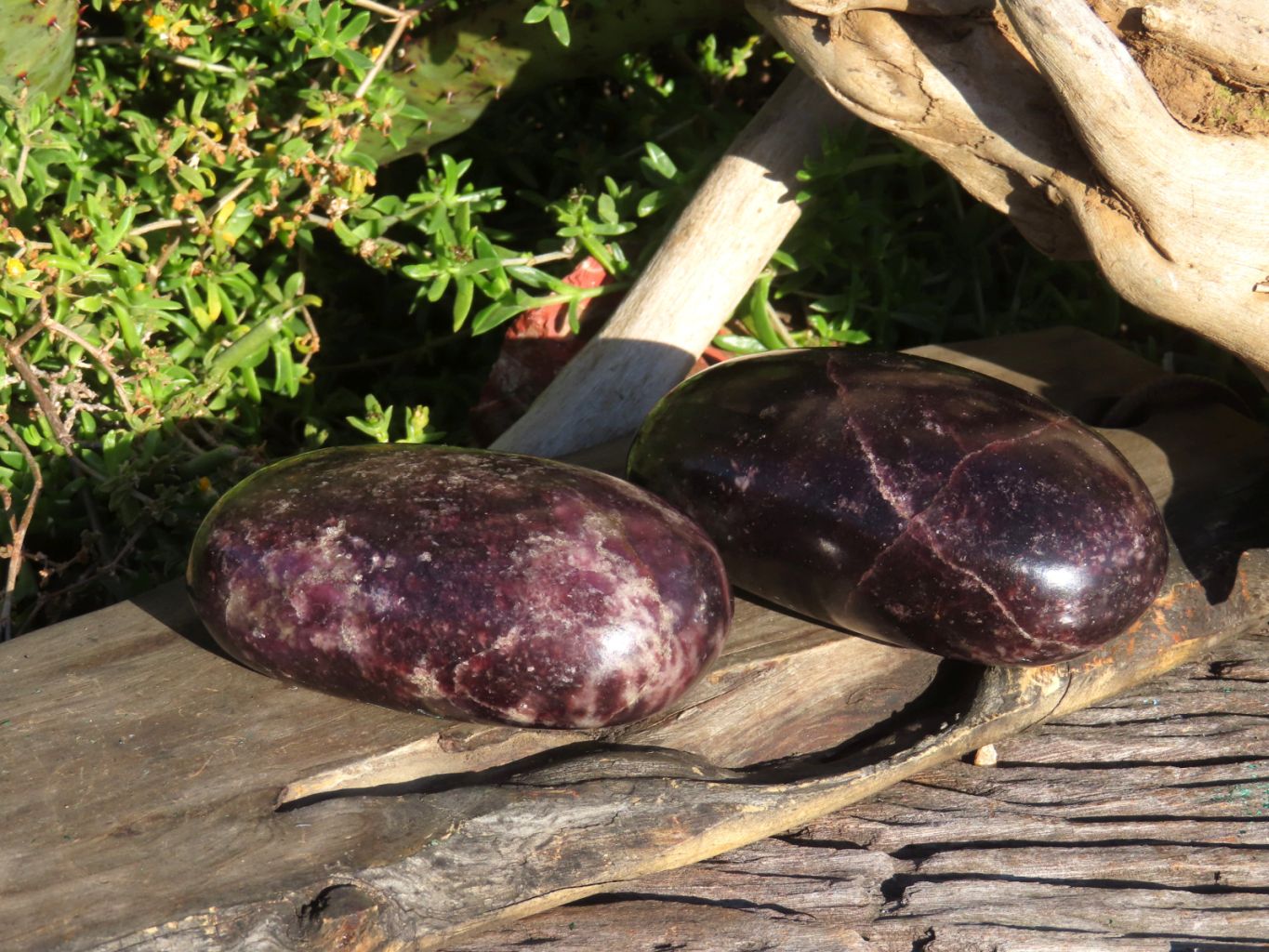 Polished XL Dark Purple Lithium Mica Lepidolite Gallet Free Forms x 2 From Zimbabwe - TopRock