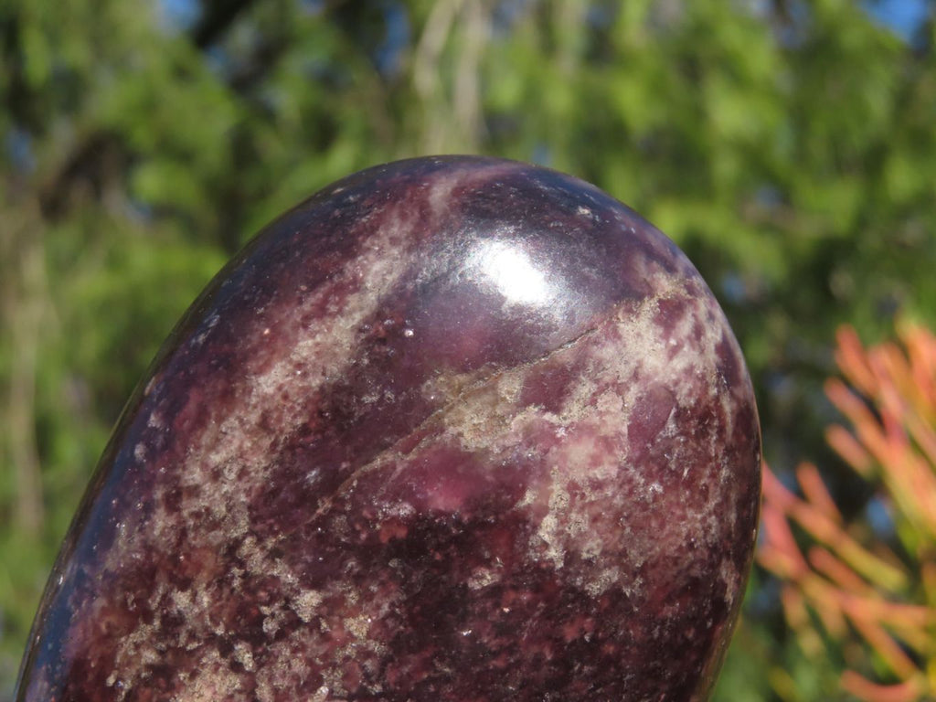 Polished XL Dark Purple Lithium Mica Lepidolite Gallet Free Forms x 2 From Zimbabwe - TopRock