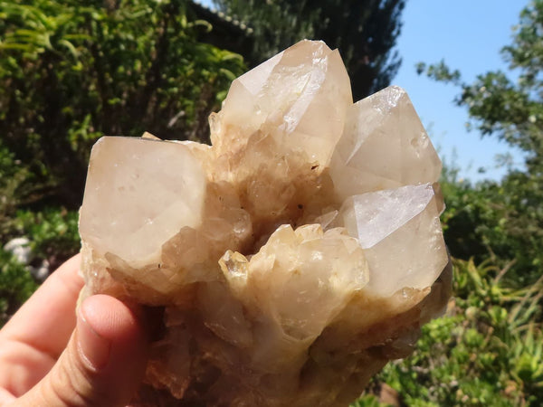 Natural White Phantom Smokey Quartz Clusters  x 2 From Luena, Congo - Toprock Gemstones and Minerals 