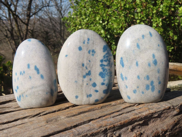 Polished Blue Spotted Spinel Quartz Standing Free Forms x 3 From Madagascar - Toprock Gemstones and Minerals 