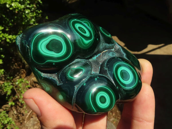 Polished Stunning Flower Banded Malachite Free Forms  x 6 From Congo