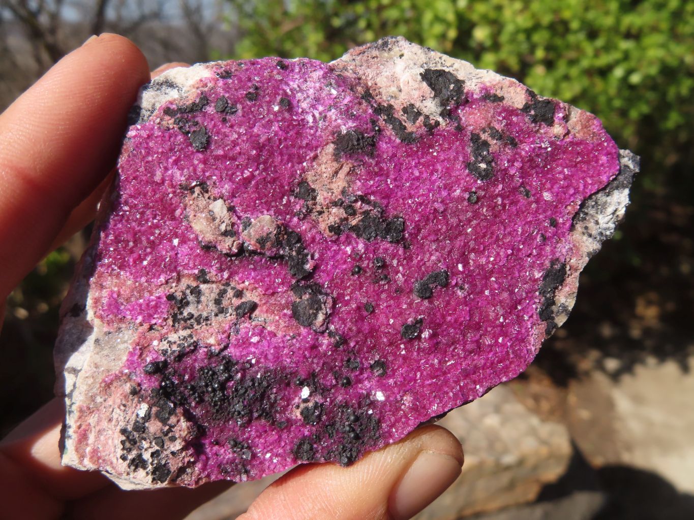 Natural Pink Salrose Cobaltion Dolomite Specimens  x 6 From Kakanda, Congo - Toprock Gemstones and Minerals 