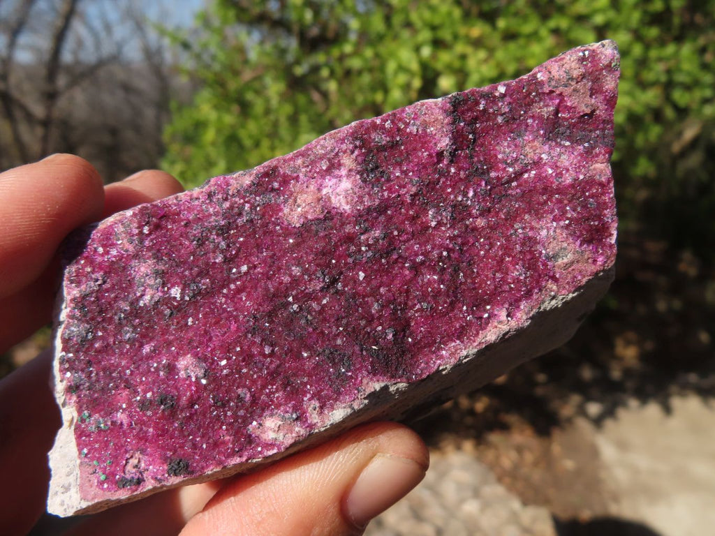 Natural Pink Salrose Cobaltion Dolomite Specimens  x 6 From Kakanda, Congo - Toprock Gemstones and Minerals 