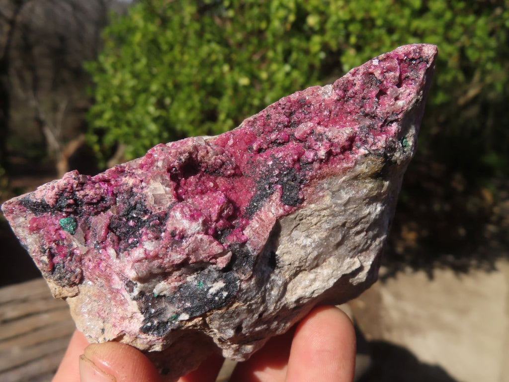 Natural Pink Salrose Cobaltion Dolomite Specimens  x 6 From Kakanda, Congo - Toprock Gemstones and Minerals 