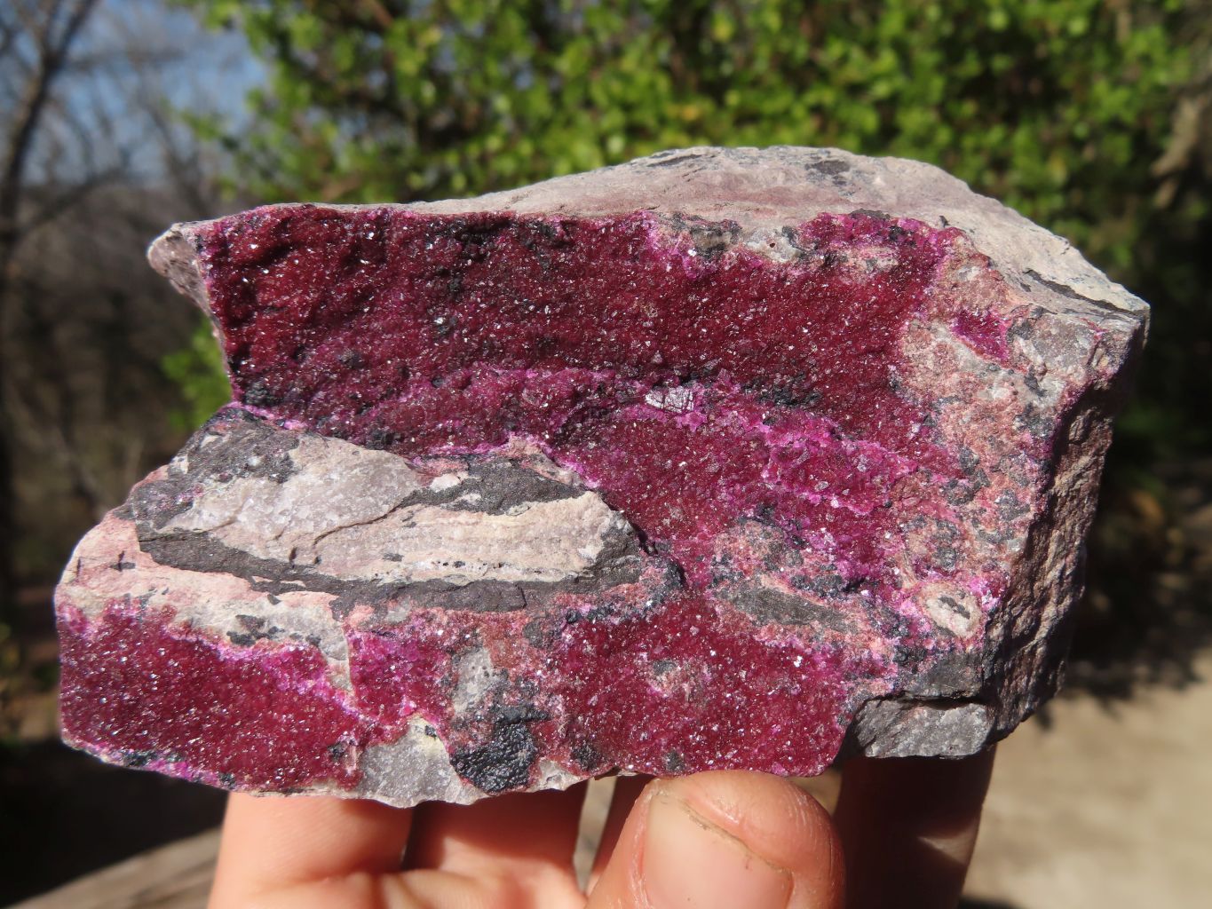 Natural Pink Salrose Cobaltion Dolomite Specimens  x 6 From Kakanda, Congo - Toprock Gemstones and Minerals 