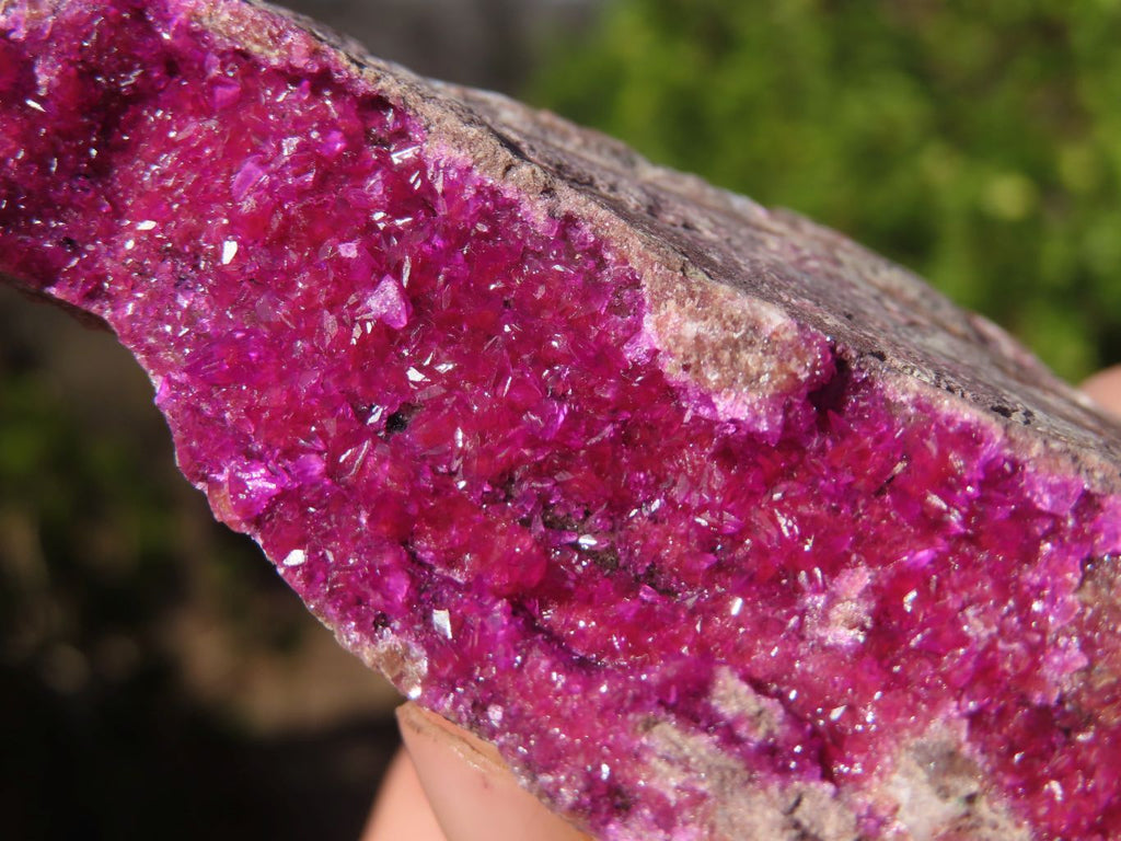 Natural Pink Salrose Cobaltion Dolomite Specimens  x 6 From Kakanda, Congo - Toprock Gemstones and Minerals 