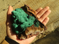 Natural Rare Ball Malachite On Drusy Quartz & Dolomite Specimens x 2 From Kambove, Congo - Toprock Gemstones and Minerals 