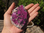 Natural Pink Salrose Cobaltion Dolomite Specimens  x 6 From Kakanda, Congo - Toprock Gemstones and Minerals 