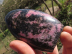 Polished Pink & Black Rhodonite Standing Free Forms  x 6 From Ambindavato, Madagascar - TopRock
