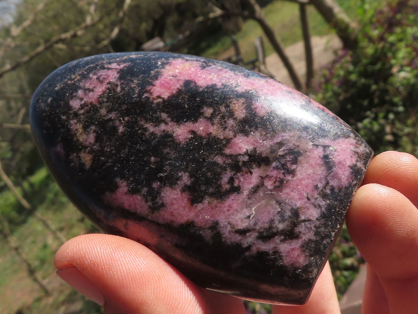 Polished Pink & Black Rhodonite Standing Free Forms  x 6 From Ambindavato, Madagascar - TopRock