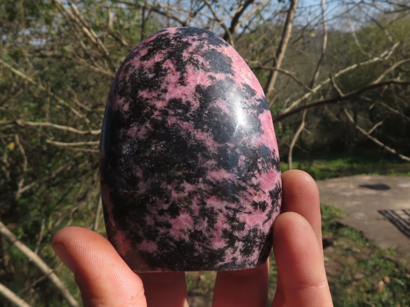 Polished Pink & Black Rhodonite Standing Free Forms  x 6 From Ambindavato, Madagascar - TopRock