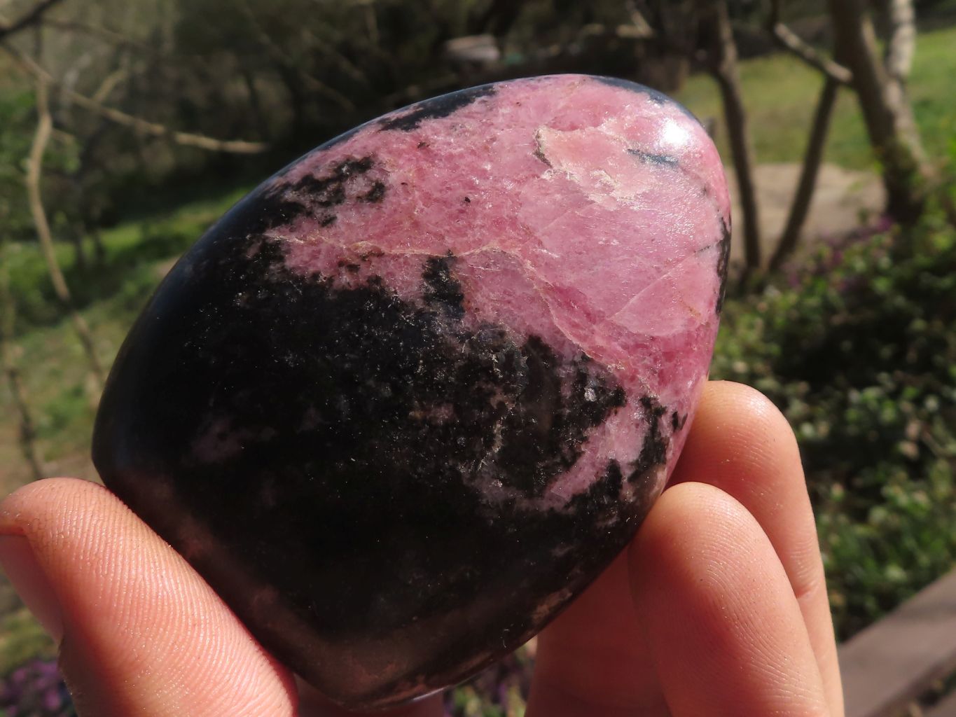 Polished Pink & Black Rhodonite Standing Free Forms  x 6 From Ambindavato, Madagascar - TopRock