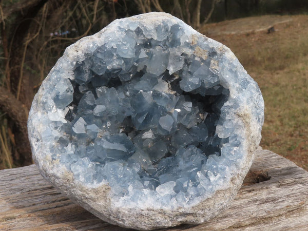 Natural Large Celestite Geode With Cubic Crystals  x 1 From Sakoany, Madagascar - TopRock