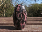 Polished Pink & Black Rhodonite Standing Free Forms  x 6 From Ambindavato, Madagascar - TopRock