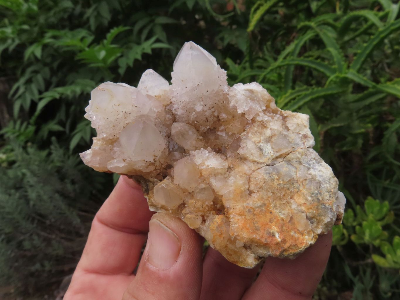 Natural  Spirit Quartz with a tint of Amethyst  x 4 From Boekenhouthoek, South Africa - TopRock