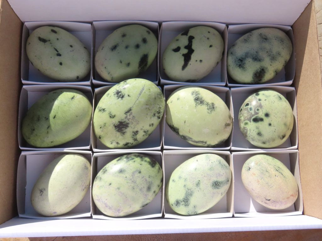 Polished Large Leopard Stone (Serpentine) Gallets x 12 From Zimbabwe - TopRock