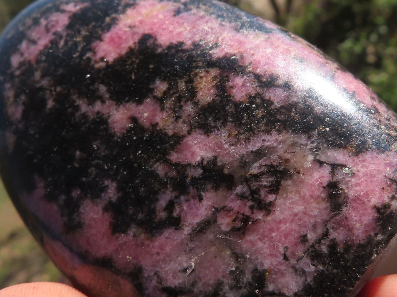 Polished Pink & Black Rhodonite Standing Free Forms  x 6 From Ambindavato, Madagascar - TopRock