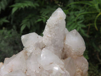 Natural  Spirit Quartz with a tint of Amethyst  x 4 From Boekenhouthoek, South Africa - TopRock