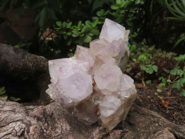 Natural  Spirit Quartz with a tint of Amethyst  x 4 From Boekenhouthoek, South Africa - TopRock