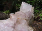 Natural  Spirit Quartz with a tint of Amethyst  x 4 From Boekenhouthoek, South Africa - TopRock