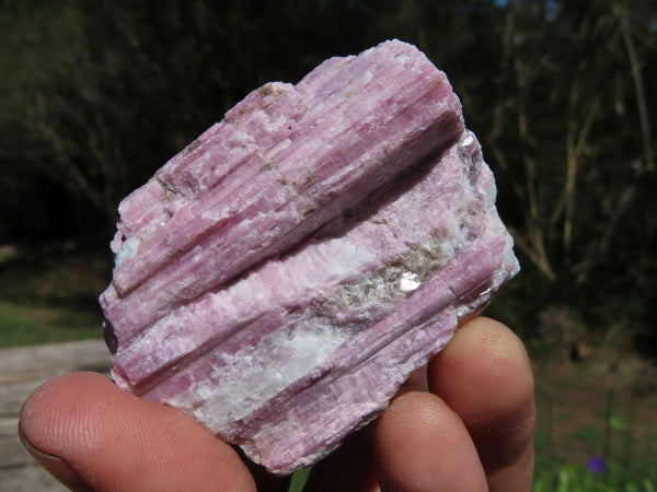 Natural Pink Tourmaline Crystals In Mica & Quartz Schist x 12 From Karibib, Namibia - TopRock