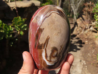 Polished Red Podocarpus Petrified Wood Standing Free Forms x 3 From Mahajanga, Madagascar - Toprock Gemstones and Minerals 