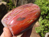 Polished Red Podocarpus Petrified Wood Standing Free Forms x 3 From Mahajanga, Madagascar - Toprock Gemstones and Minerals 
