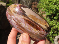 Polished Red Podocarpus Petrified Wood Standing Free Forms x 3 From Mahajanga, Madagascar - Toprock Gemstones and Minerals 