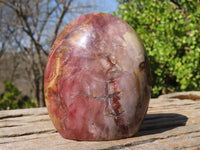 Polished Red Podocarpus Petrified Wood Standing Free Forms x 3 From Mahajanga, Madagascar - Toprock Gemstones and Minerals 