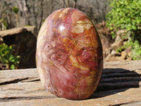 Polished Red Podocarpus Petrified Wood Standing Free Forms x 3 From Mahajanga, Madagascar - Toprock Gemstones and Minerals 