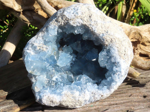 Natural Blue Celestite Geode Specimen With Large Cubic Crystals x 1 From Sakoany, Madagascar - TopRock