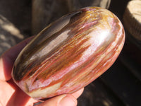 Polished Red Podocarpus Petrified Wood Standing Free Forms x 3 From Mahajanga, Madagascar - Toprock Gemstones and Minerals 