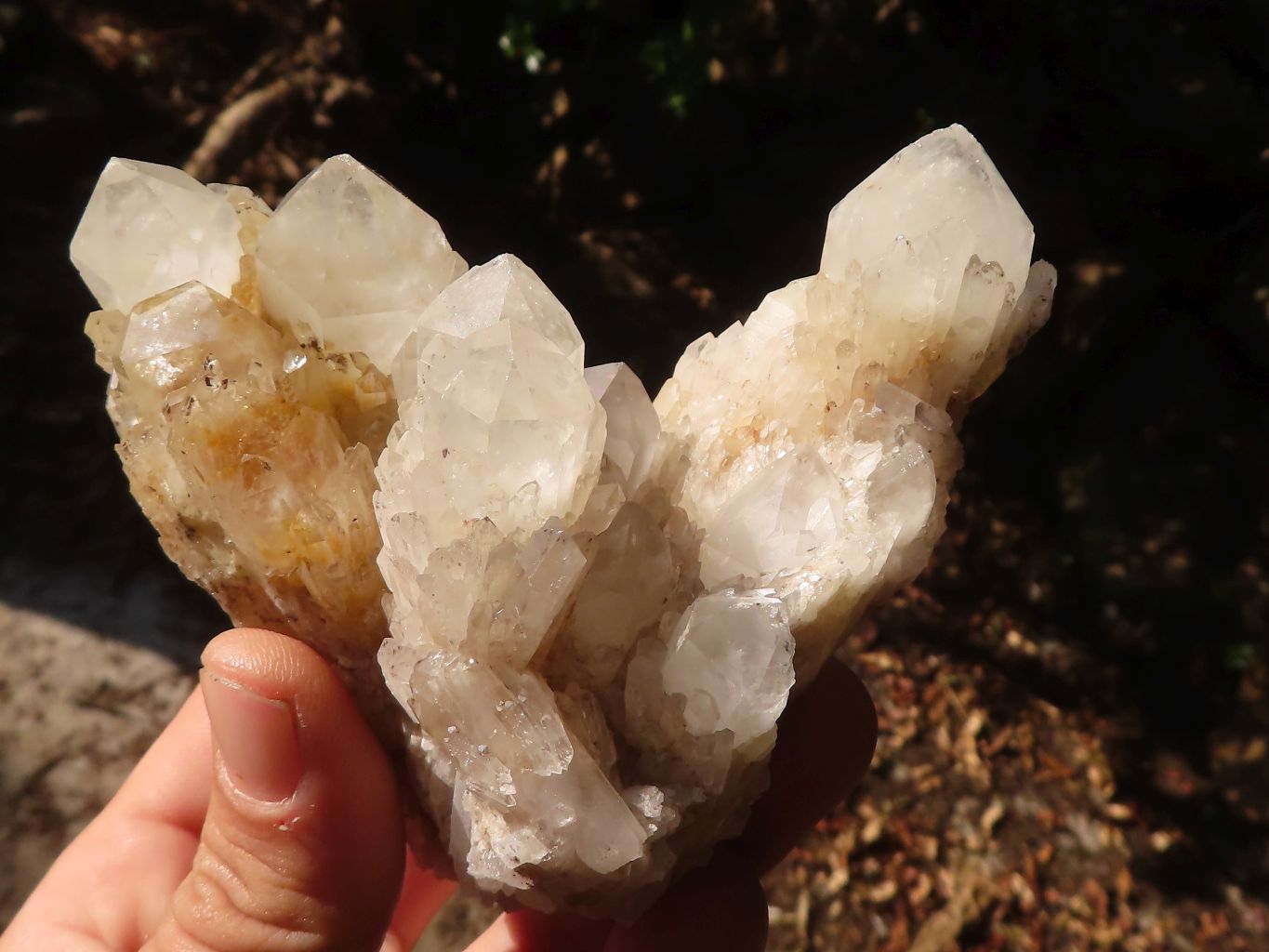 Natural Pineapple Quartz Crystal Clusters  x 6 From Madagascar - Toprock Gemstones and Minerals 