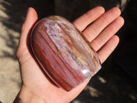 Polished Red Podocarpus Petrified Wood Standing Free Forms x 3 From Mahajanga, Madagascar - Toprock Gemstones and Minerals 