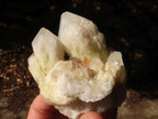 Natural Pineapple Quartz Crystal Clusters  x 6 From Madagascar - Toprock Gemstones and Minerals 